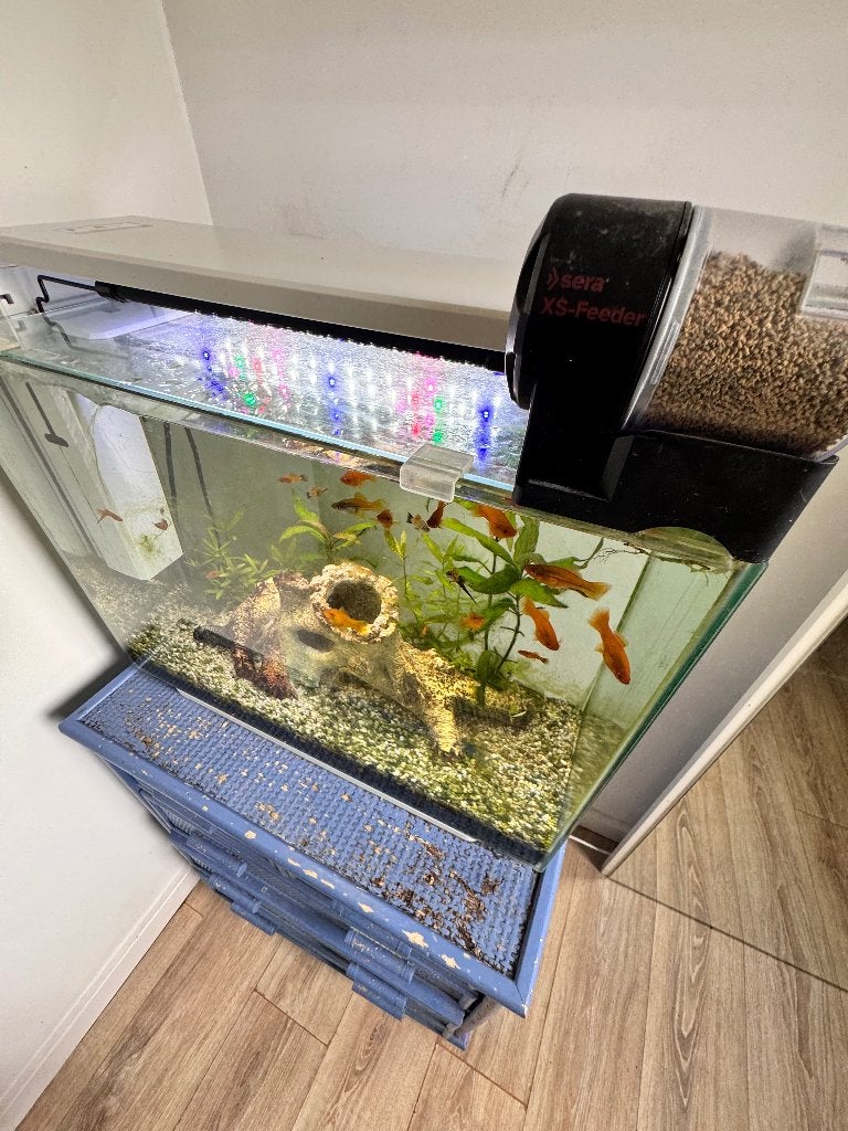 Aquarium, Dieren en Toebehoren, Vissen | Aquaria en Toebehoren, Ophalen, Verwarming, Gebruikt, Leeg aquarium