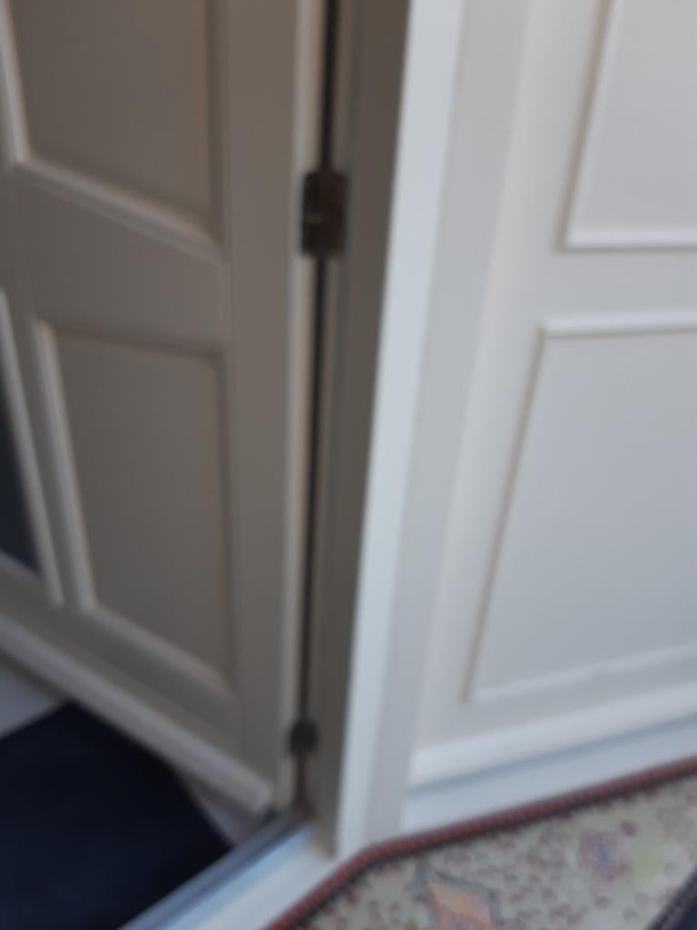 Dubbele buitendeur met glaspanelen - Crèmewit, 100 tot 120 cm, Gebruikt, Ophalen of Verzenden, Buitendeur