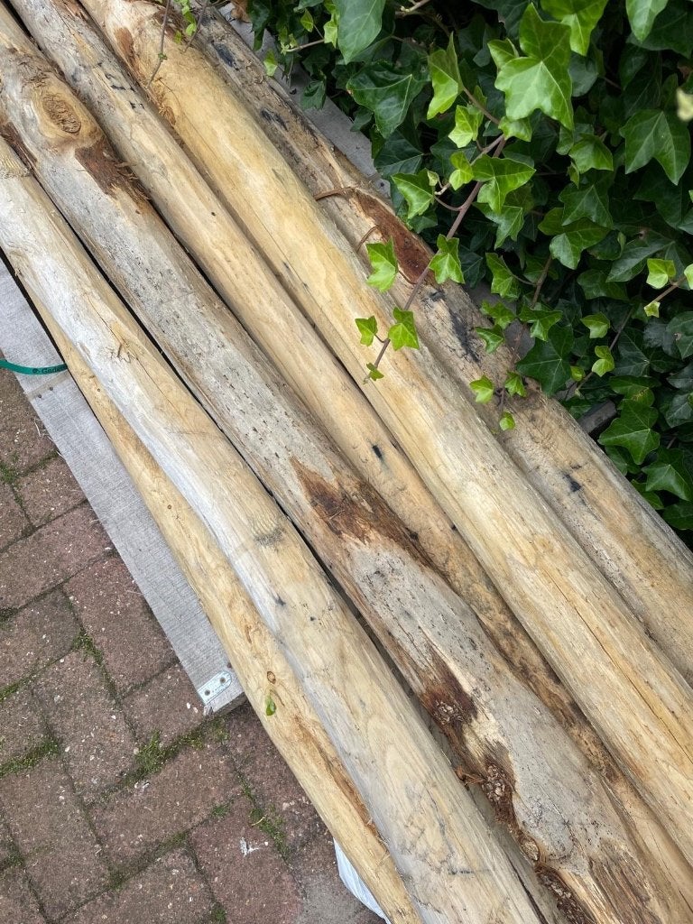8 kastanje palen, Tuin en Terras, Palen, Balken en Planken, Ophalen, Nieuw, 250 cm of meer, Palen