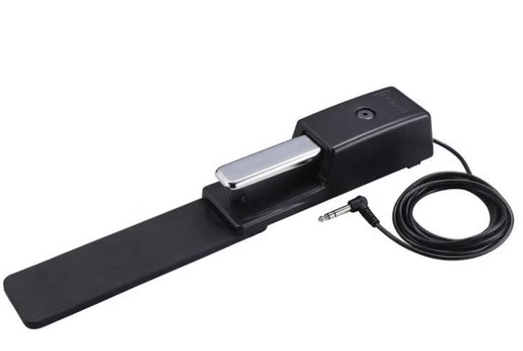Roland DP-10 - Sustainpedaal, Muziek en Instrumenten, Instrumenten | Toebehoren, Ophalen of Verzenden, Nieuw, Piano