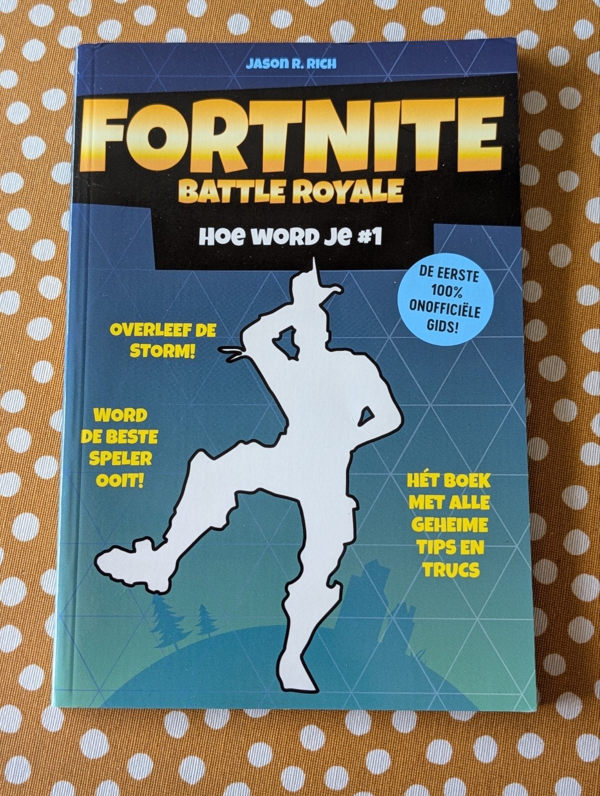Boek: Fortnite Battle Royale, Hoe word je #1, Boeken, Gelezen, Non-fictie, Ophalen of Verzenden, Jason R. Rich