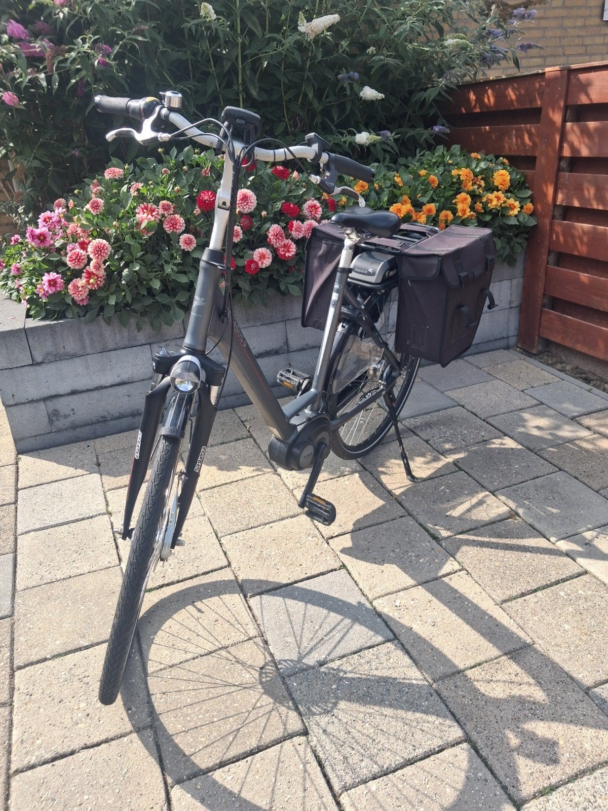 Pegasus Siena elektrische fiets, Ophalen, Gebruikt, Versnellingen, 56 cm of meer