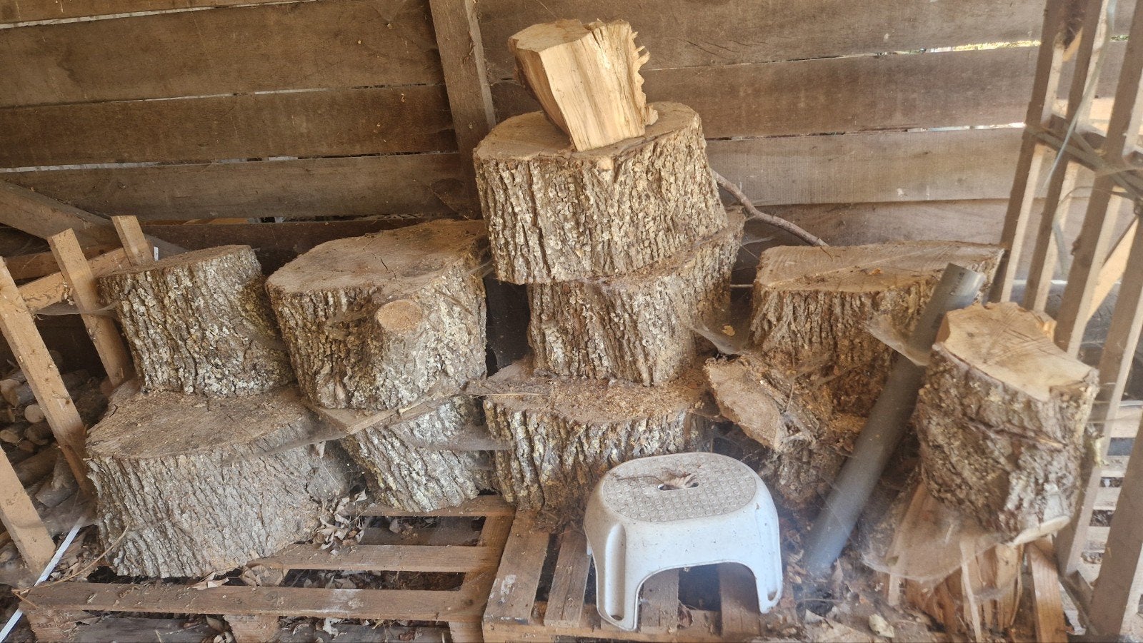 Droog ongekloofd wilgenhout - haardhout/decoratie, Ophalen, Overige houtsoorten, Blokken