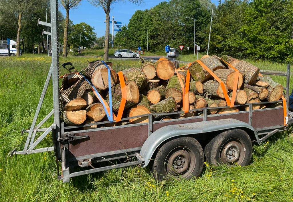 Brandhout Eikenhout - handzame stukken, 6 m³ of meer, Ophalen, Eikenhout, Blokken