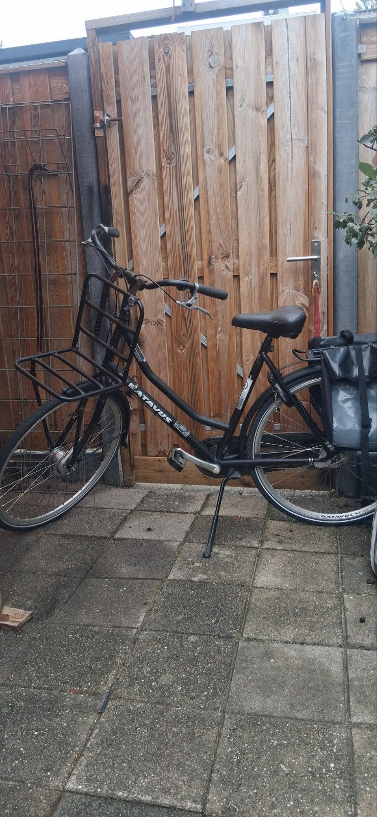 Batavus Winner transportfiets met voordrager, Fietsen en Brommers, Fietsen | Dames | Damesfietsen, Ophalen, Terugtraprem, Batavus