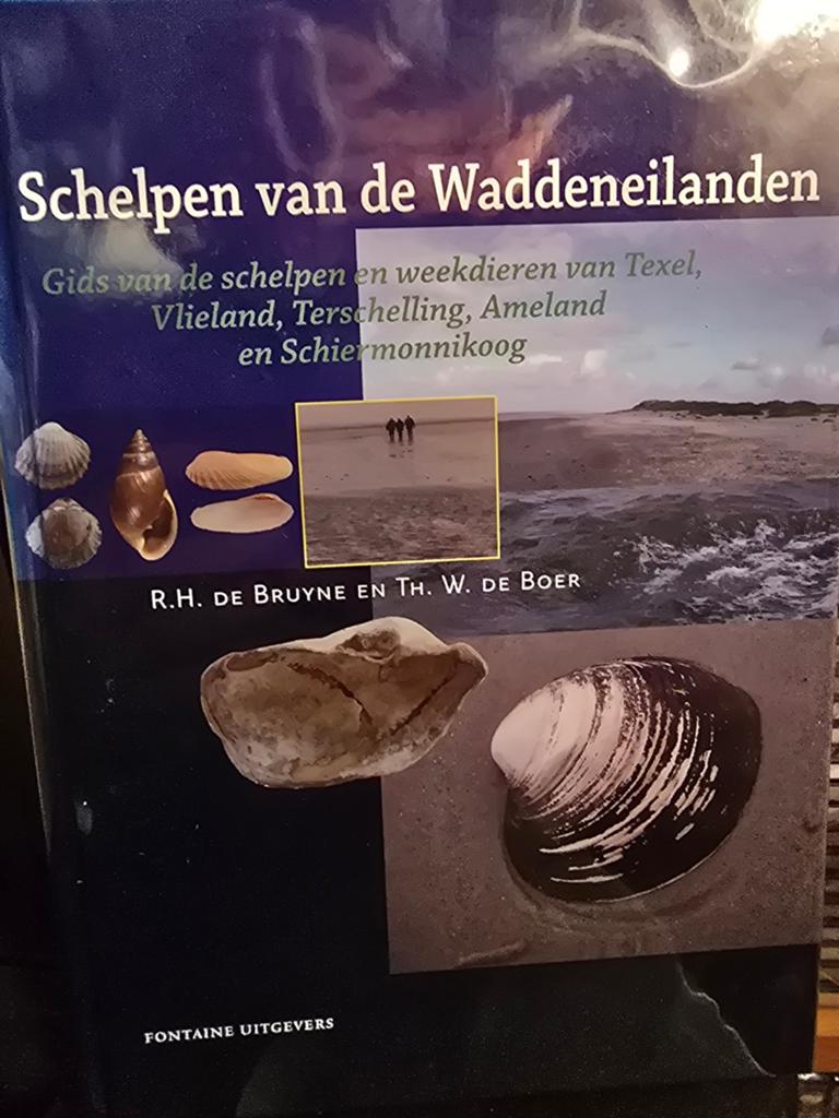 Schelpen van de Waddeneilanden - Gids, Boeken, Natuur, Ophalen of Verzenden, Zo goed als nieuw, Natuur algemeen, R.H. de Bruyne en Th. W. de Boer