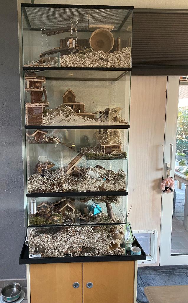 Uitbreiding voor terrarium of gerbilarium, Dieren en Toebehoren, Knaagdieren en Konijnen | Hokken en Kooien, Minder dan 60 cm