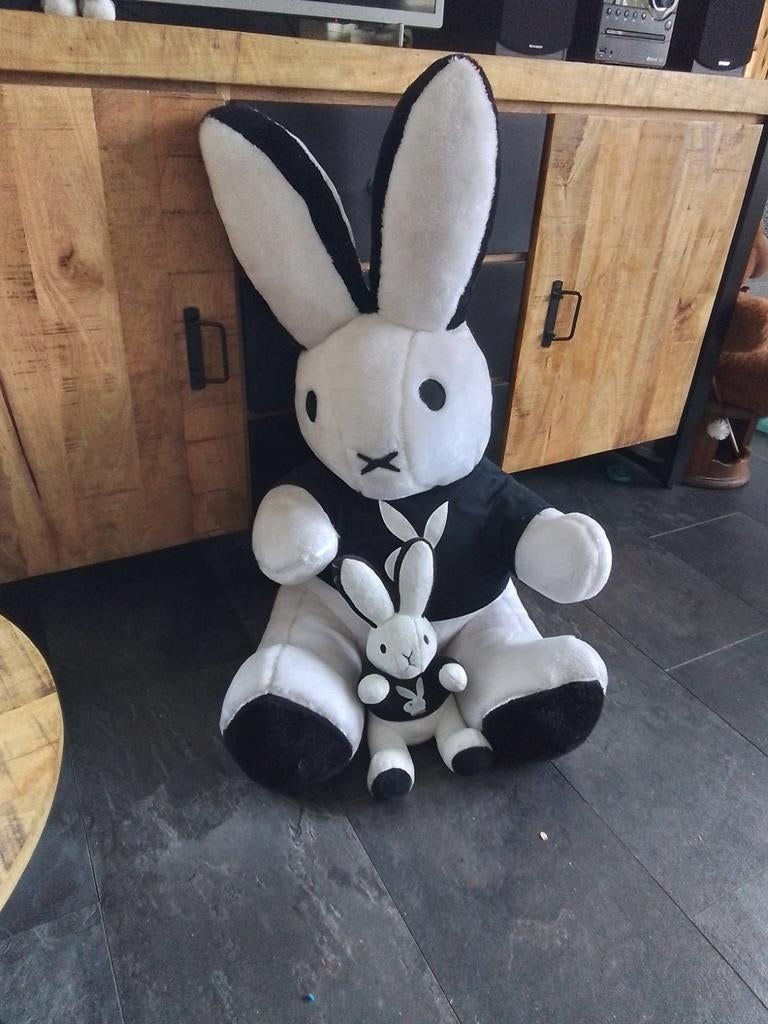 Konijn knuffel set - groot en klein, Ophalen, Gebruikt, Overige merken, Konijn