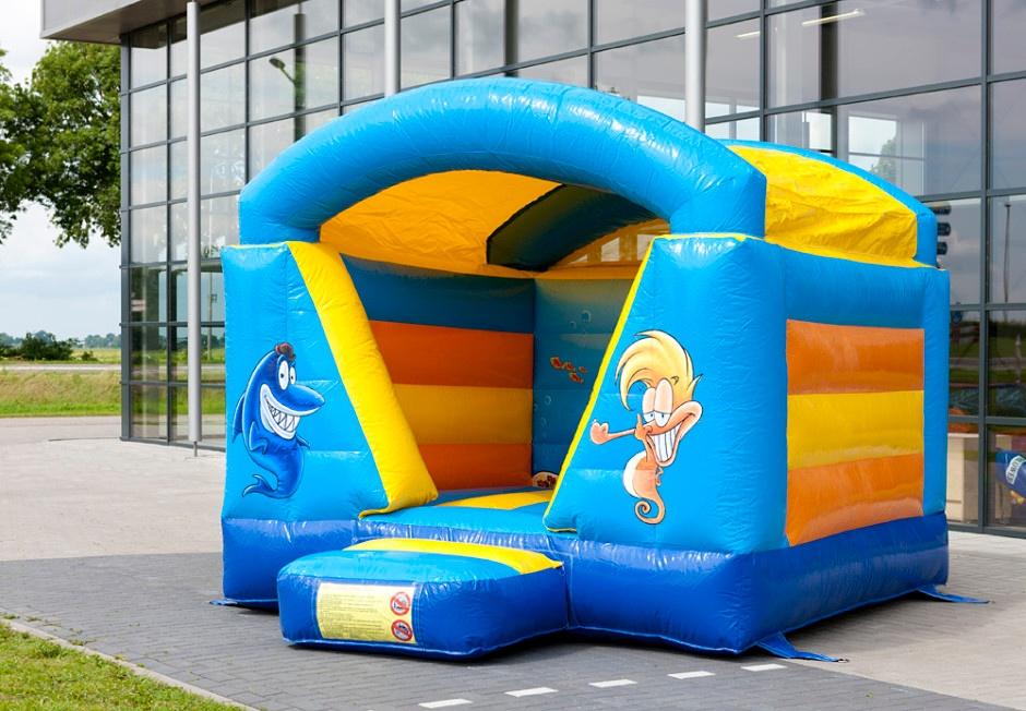 Springkussen Oceaan 3 bij 4 meter te huur, Ophalen, Zo goed als nieuw, Overige