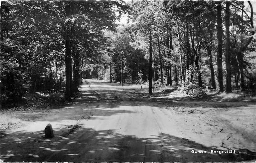 377-133-023 Gorssel  Bosgezicht, Verzenden, Voor 1920, Gelderland