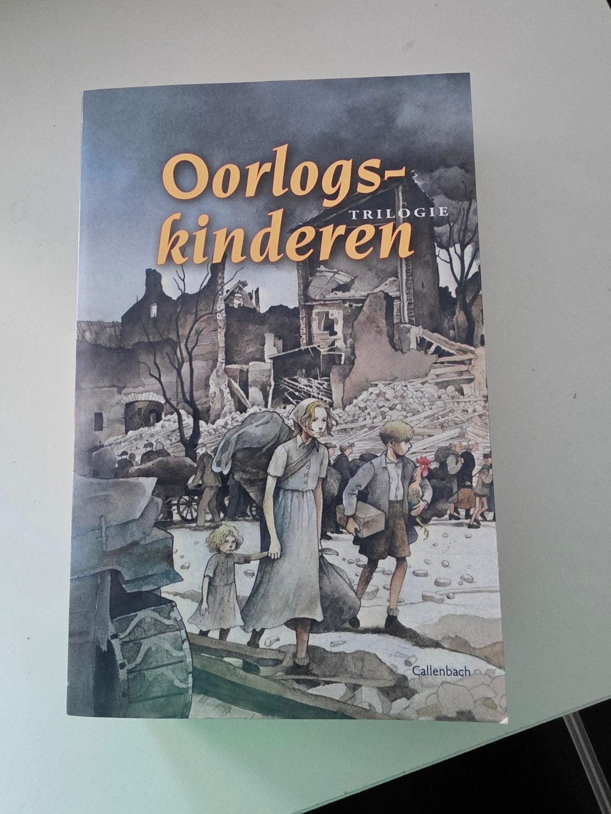 Beene Dubbelboer - Oorlogskinderen trilogie, Ophalen of Verzenden, Zo goed als nieuw, Beene Dubbelboer; Ian Serraillier; Barbara Gehrts