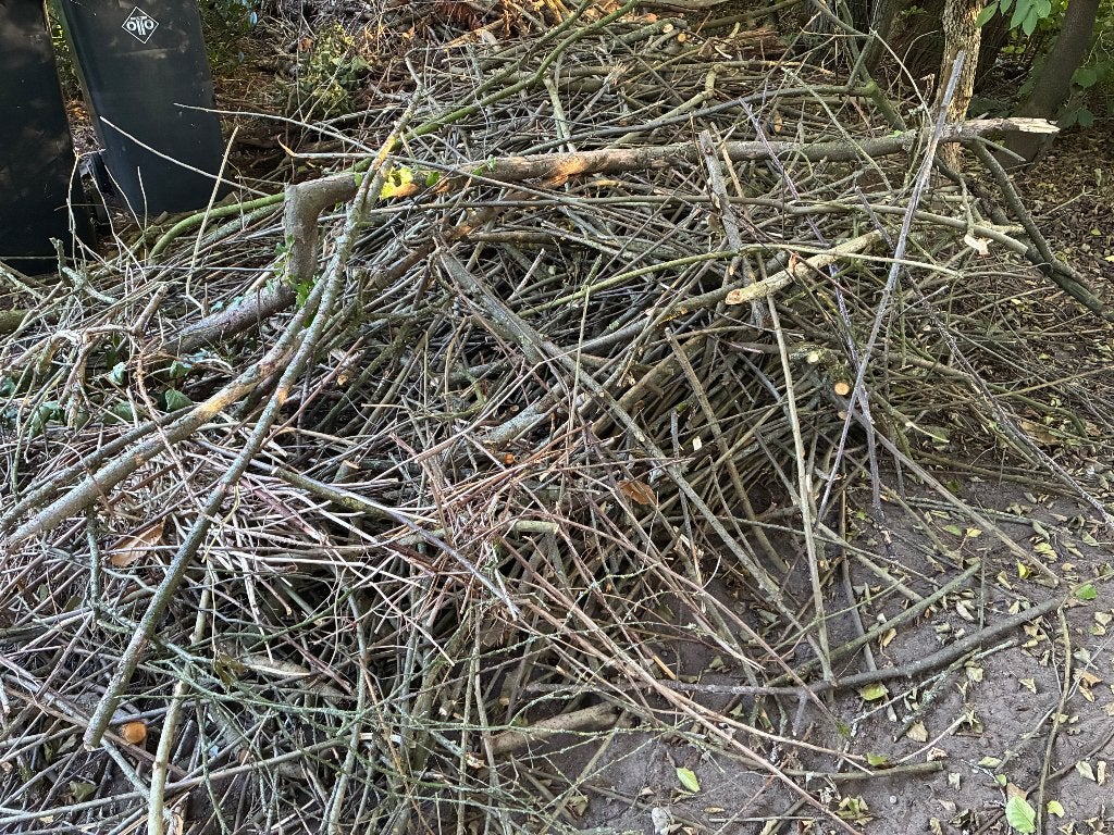 Gratis af te halen: grote stapel(s) wilgentakken, Tuin en Terras, Minder dan 3 m³, Ophalen