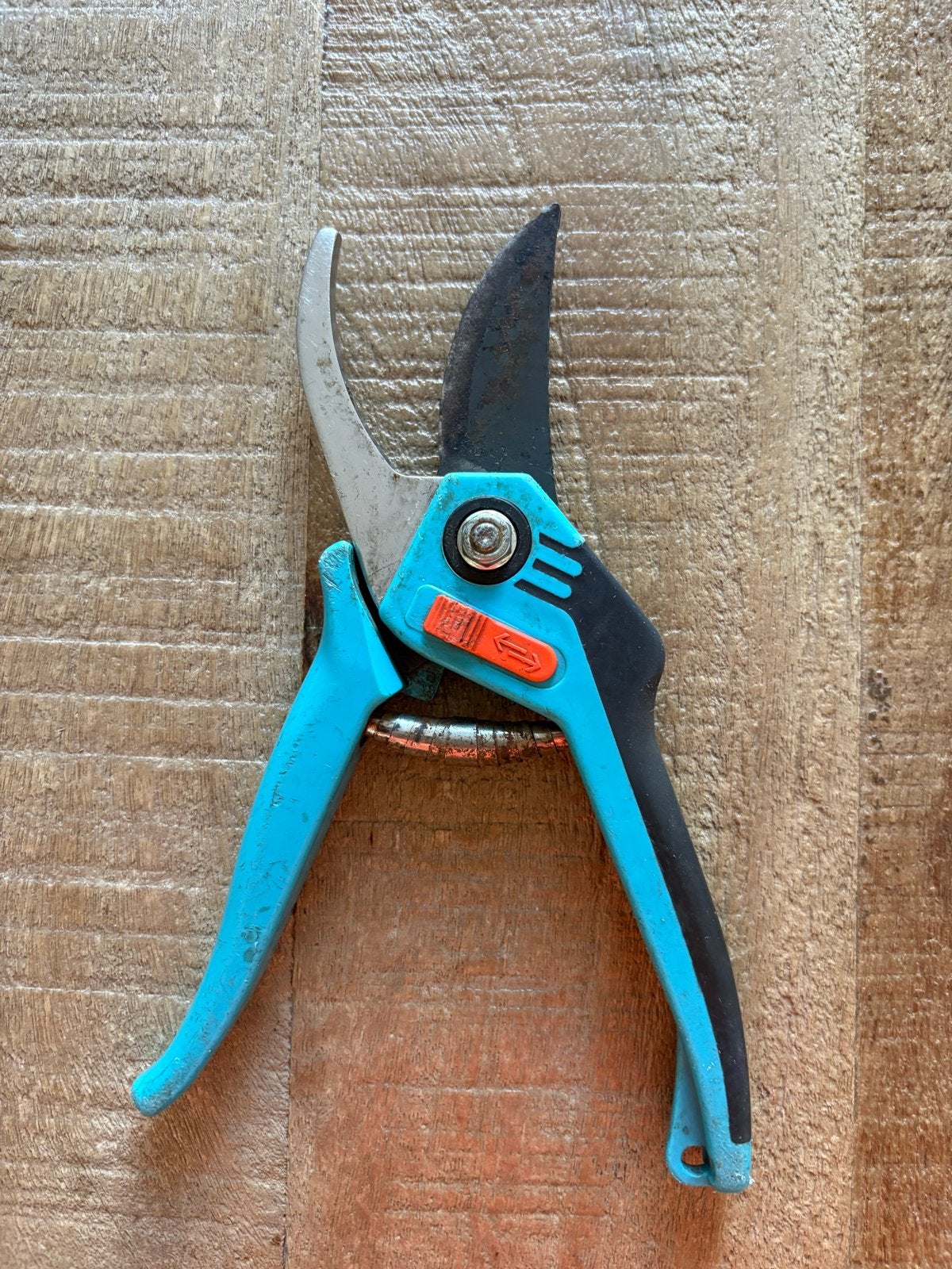 Gebruikte Gardena snoeischaar - ideaal voor tuinwerk, Ophalen, Gebruikt, 20 t/m 29 mm