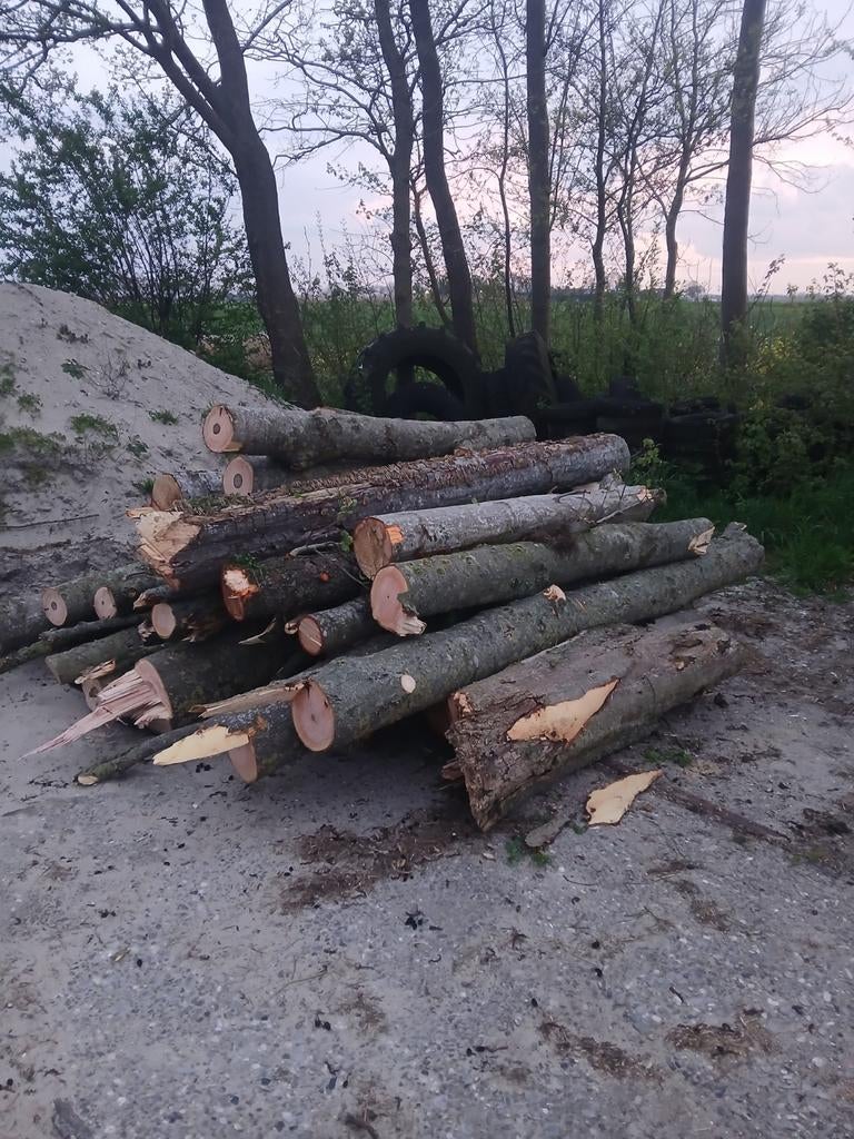 Kachelhout, Minder dan 3 m³, Ophalen of Verzenden