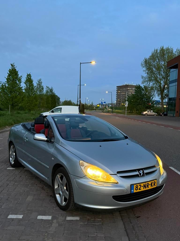 Peugeot 307 2.0 16V CC AUT 2004 Grijs, 4 cilinders, Cabriolet, 4 stoelen, Bedrijf