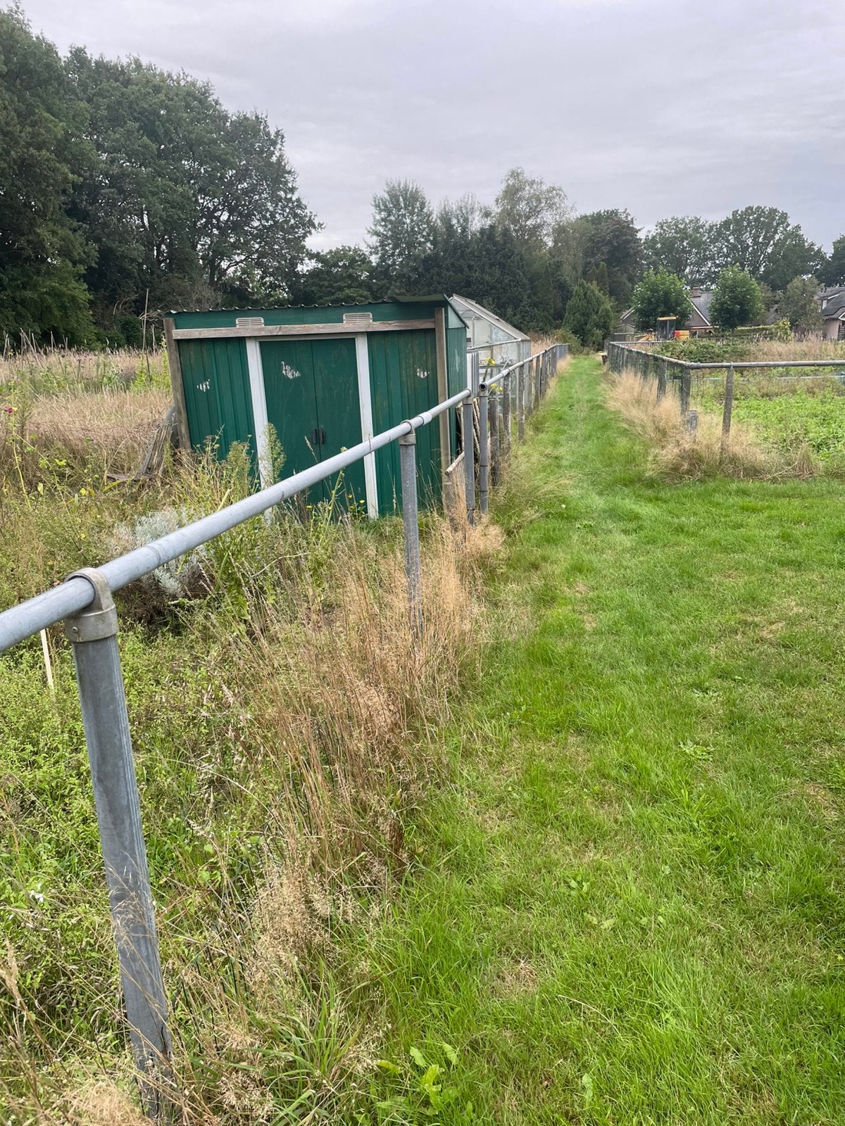 Omheining met bijpassende palen, Weidegang