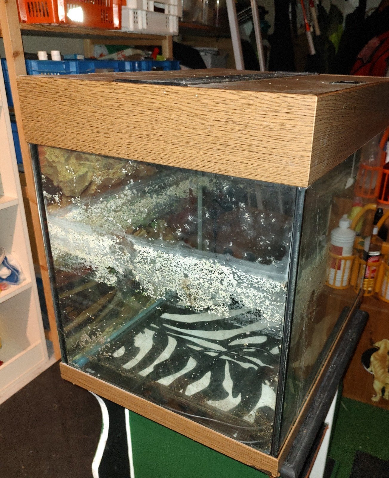 Juwel 55xx41x50, Dieren en Toebehoren, Vissen | Aquaria en Toebehoren, Gebruikt, Leeg aquarium, Juwel, Ophalen of Verzenden