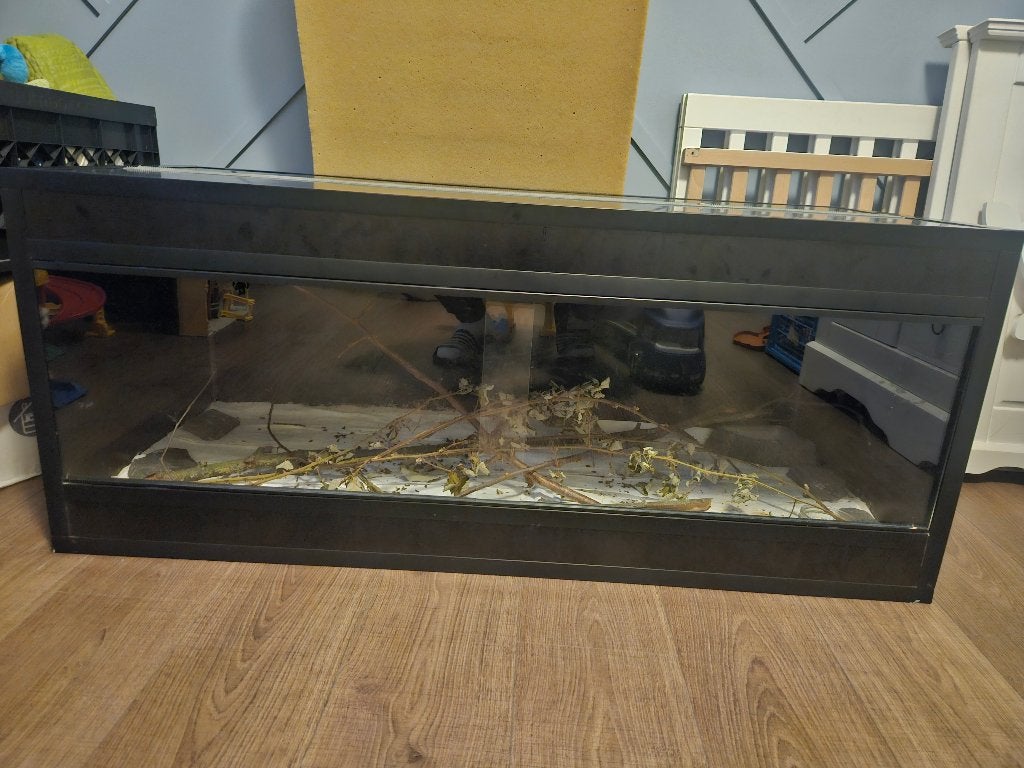 Terrarium 120x50x50, Ophalen, Zo goed als nieuw, Terrarium of Paludarium