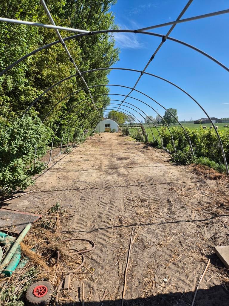 Grote tunnelkas / kweekkas - Ideaal voor tuinbouw, Gebruikt, Overige materialen, Kweekkas, Ophalen