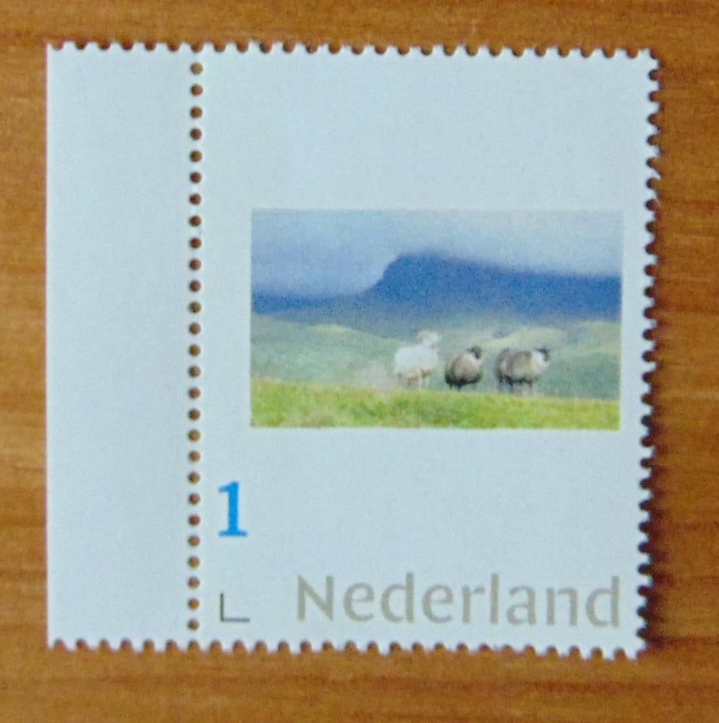 Nederland:  Schapen op IJsland met tab, postfris, Verzenden, Na 1940, Postfris