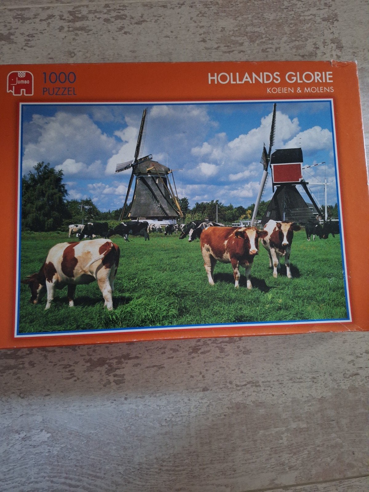 Puzzel Nederlands landschap 1000, Ophalen
