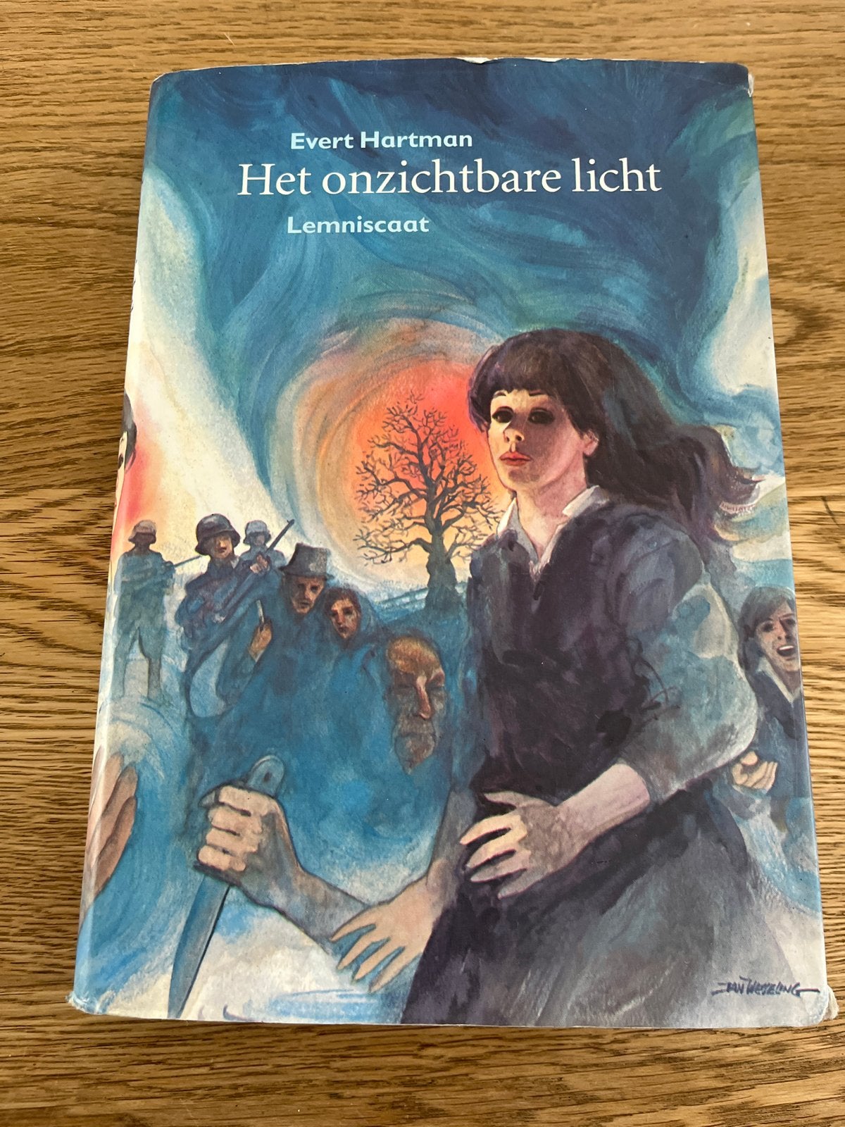 Het Onzichtbare Licht - Evert Hartman (Gebruikssporen), Boeken, Ophalen of Verzenden, Gelezen, Nederland