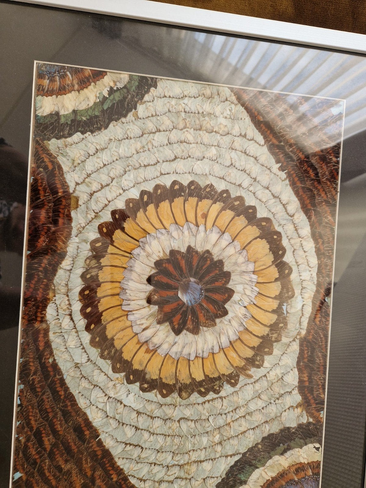 Een uniek schilderij gemaakt met vlindervleugels., Antiek en Kunst, Ophalen of Verzenden