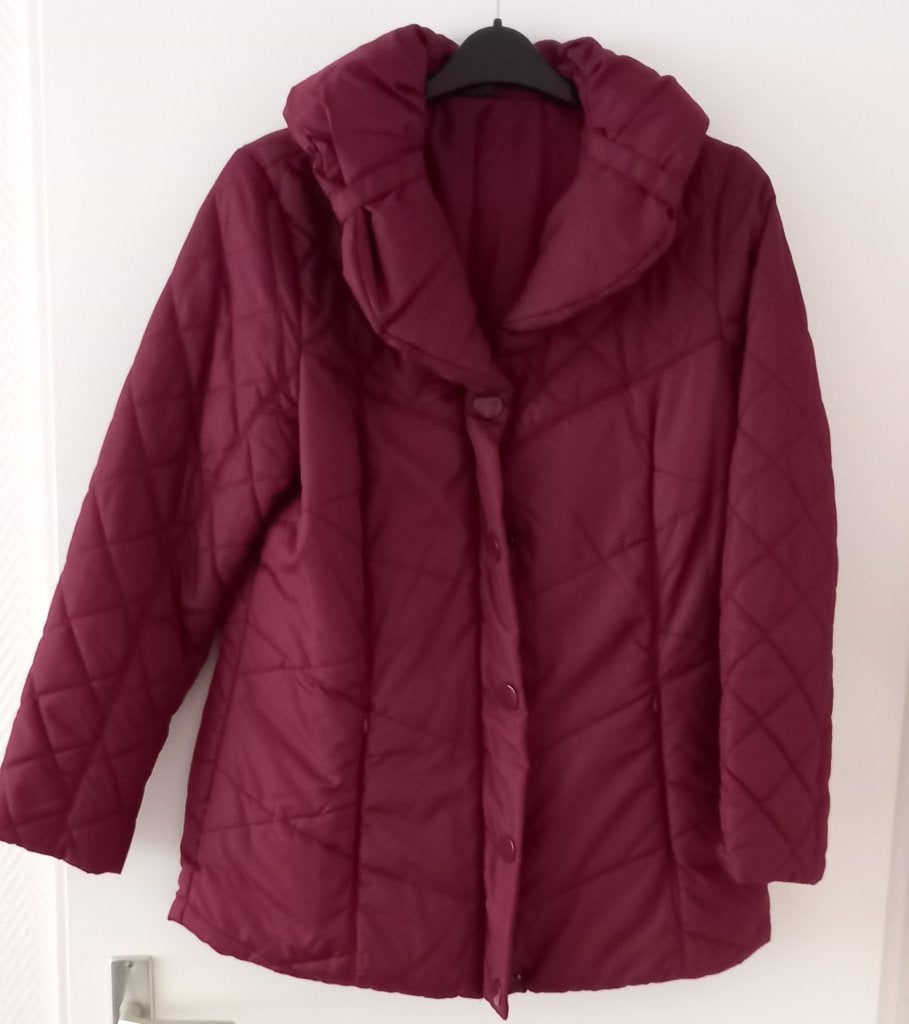 dames winter jas, Kleding | Dames, Ophalen, Overige kleuren, Maat 42/44 (L), Zo goed als nieuw