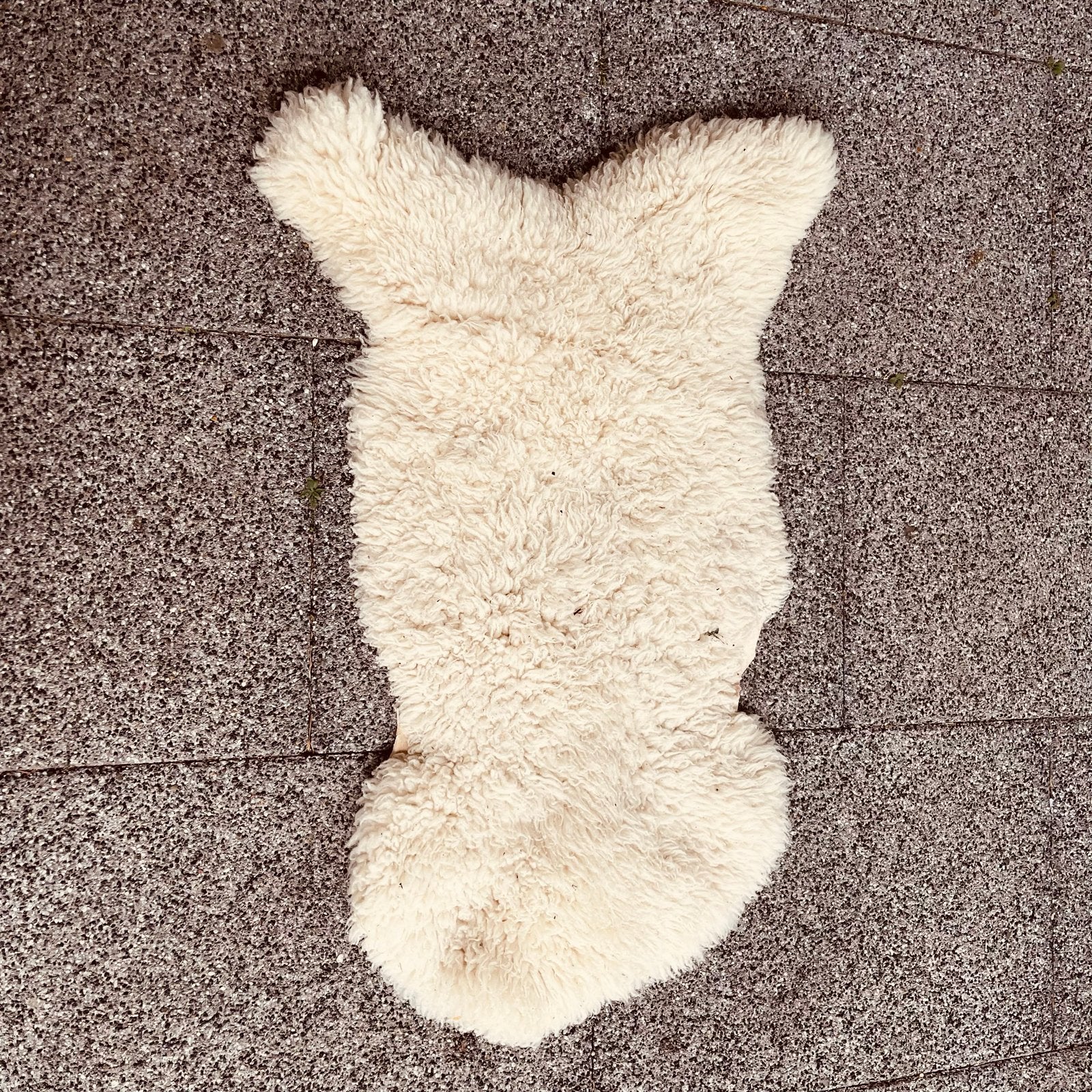 Echte schapenvacht - 35 cm, Minder dan 50 cm, Gebruikt, Ophalen of Verzenden, Crème