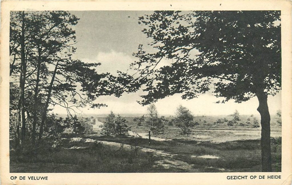 379-179-023 Veluwe, Ophalen of Verzenden, Voor 1920, Gelderland