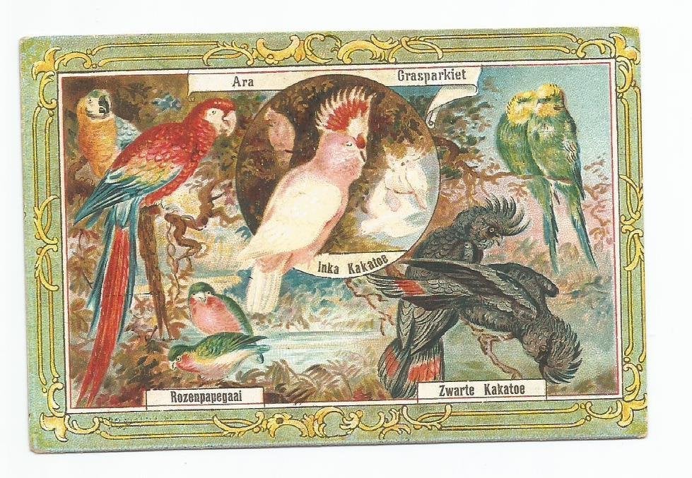Reclame chromo zeepfabriek de Lelie te Arnhem 2, Verzamelen, Ophalen of Verzenden, Gebruikt, Overige typen