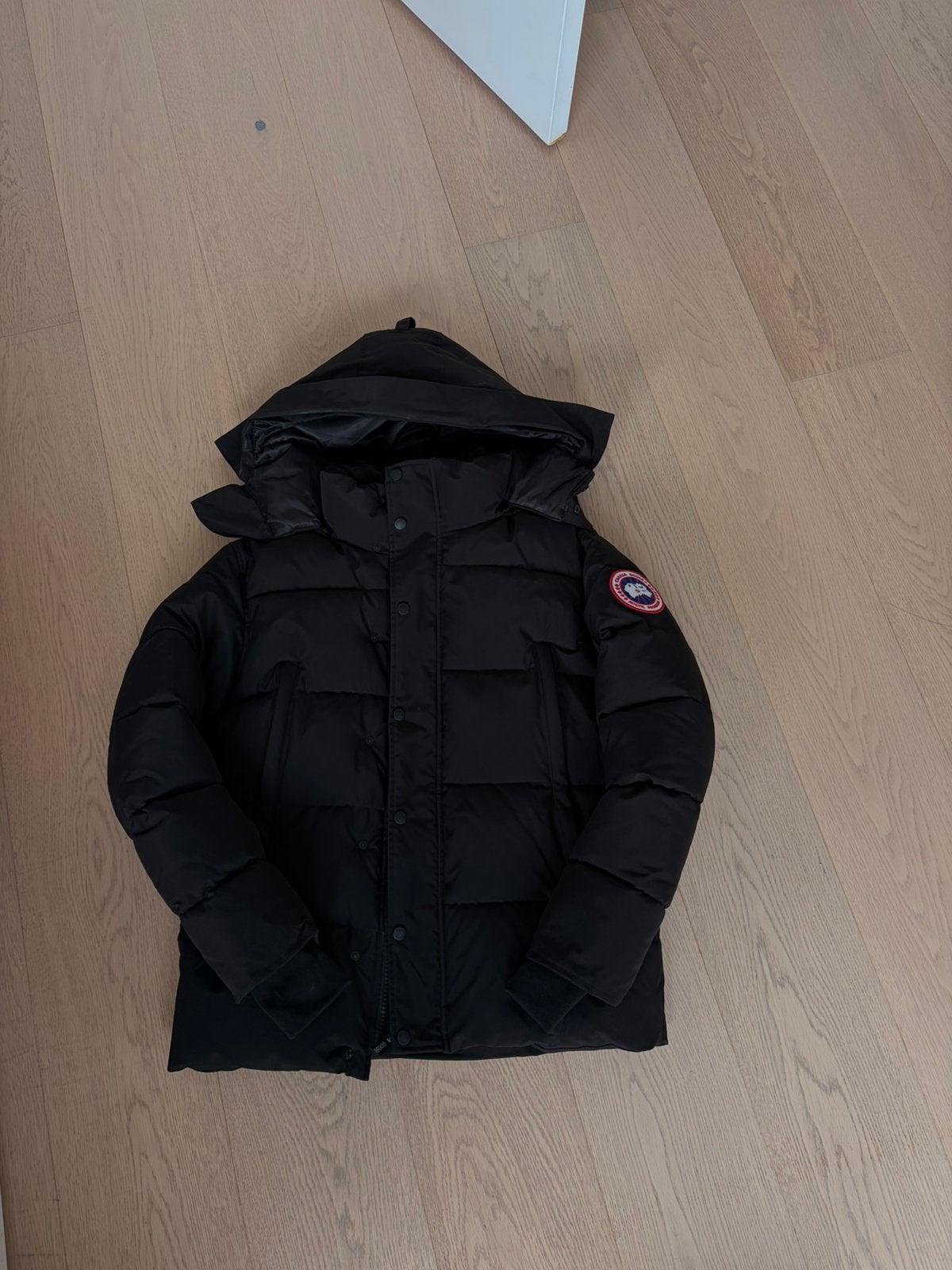 Canada goose jas zwart, Kleding | Heren, Ophalen, Nieuw, Maat 46 (S) of kleiner, Zwart