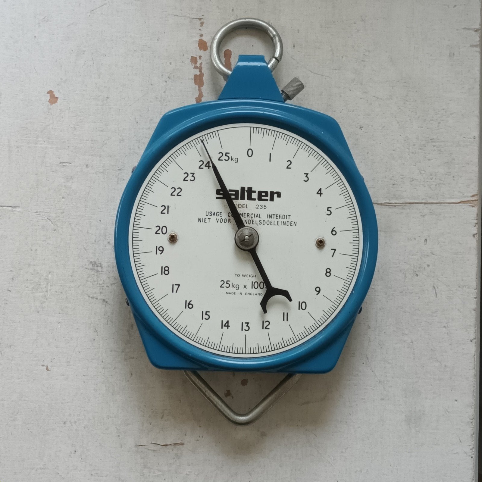 Blauwe hangweegschaal van Salter, Ophalen of Verzenden