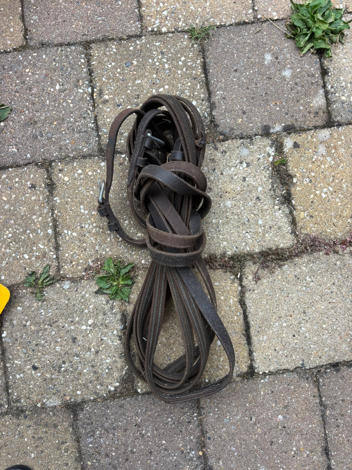 Men teugels bruin paard, Dieren en Toebehoren, Ophalen of Verzenden, Gebruikt, Bruin, Teugels