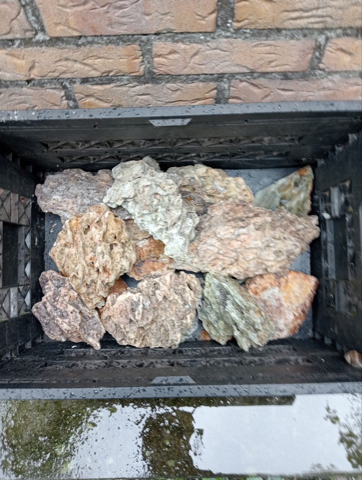 dragon stone!, Ophalen, Plant(en), Steen of Hout