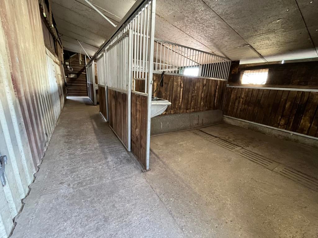 Pensionstalling aangeboden, Stalling, 1 paard of pony