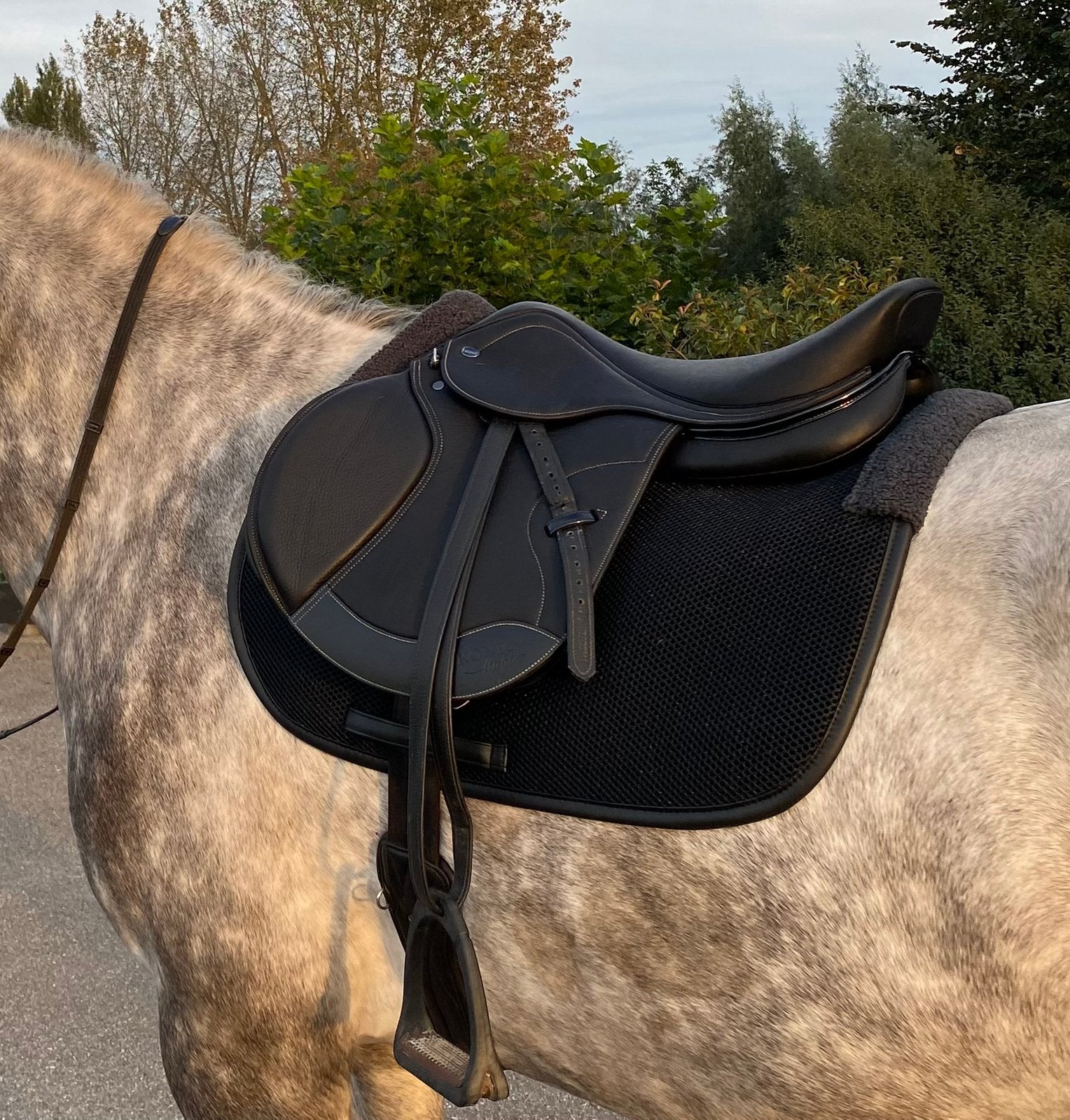 Ikonic hybrid light springzadel 17,5 inch, Dieren en Toebehoren, Ophalen, Zo goed als nieuw, Springen, L (17.5 inch)