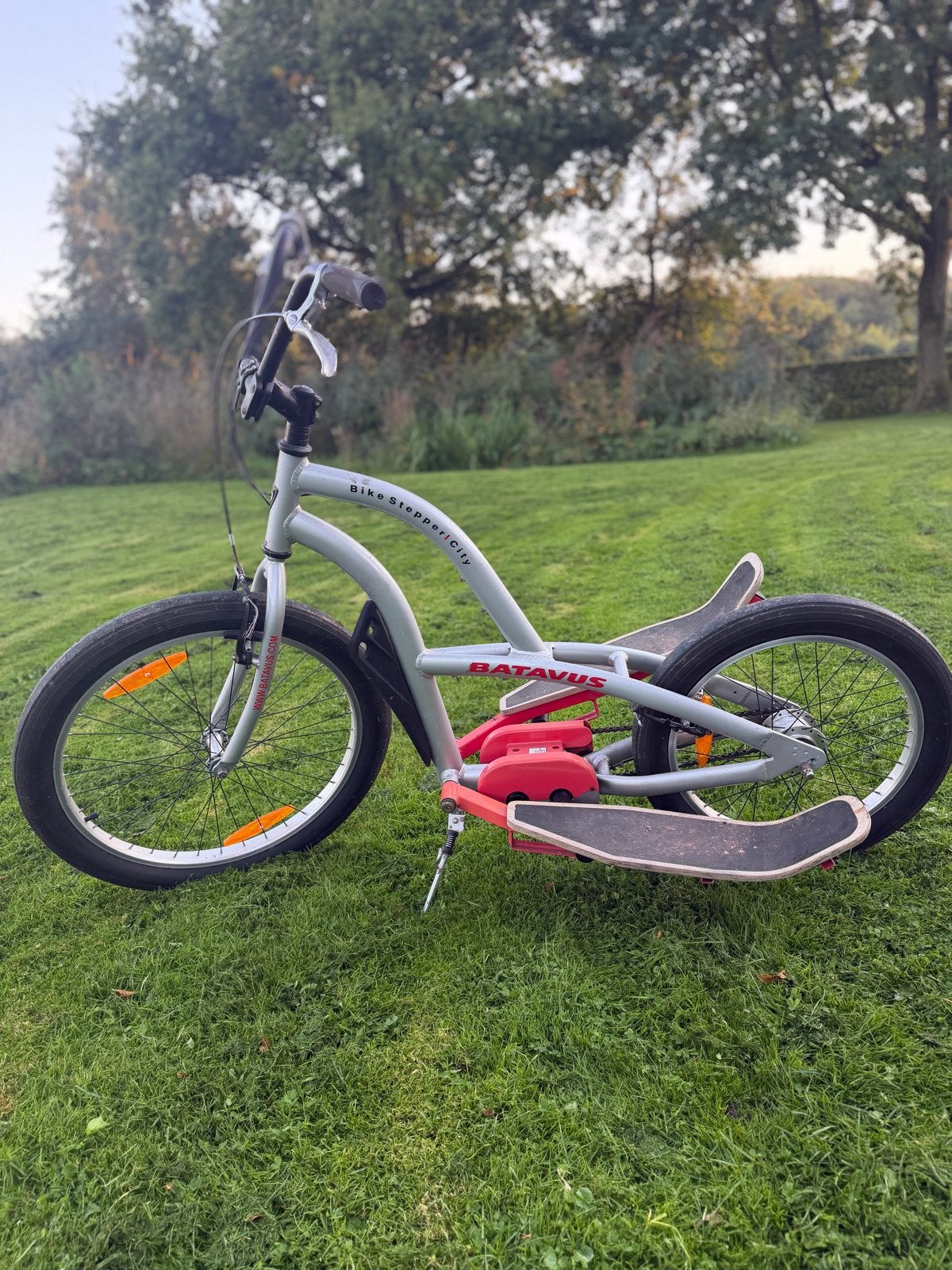 Foto 2 van Batavus Bike Stepper/City - Unieke Stepfiets