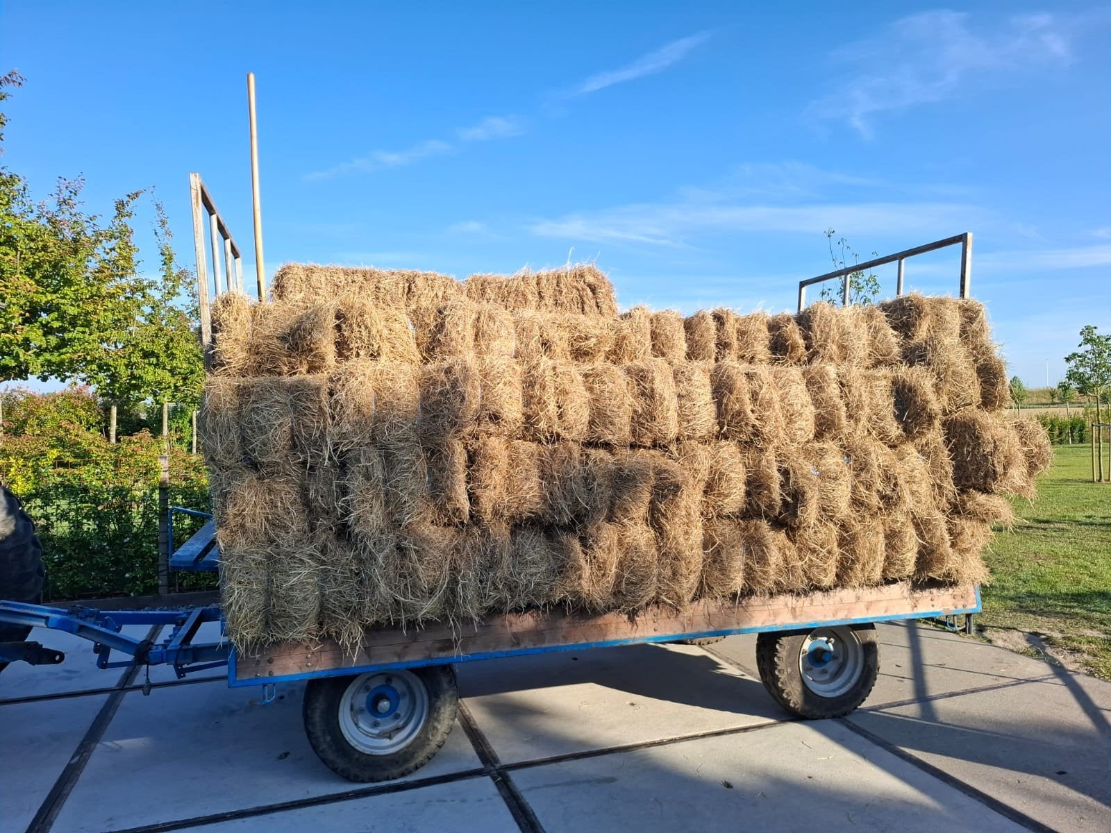 78 stuks hooibaal / hooipakje van 4 grasmengels!, Zakelijke goederen, Ophalen of Verzenden