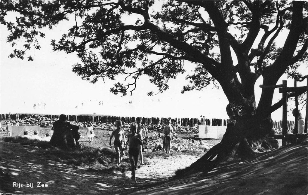 703-057-001 Rijs bij Zee, Verzamelen, Ansichtkaarten | Nederland, Verzenden, Voor 1920, Friesland
