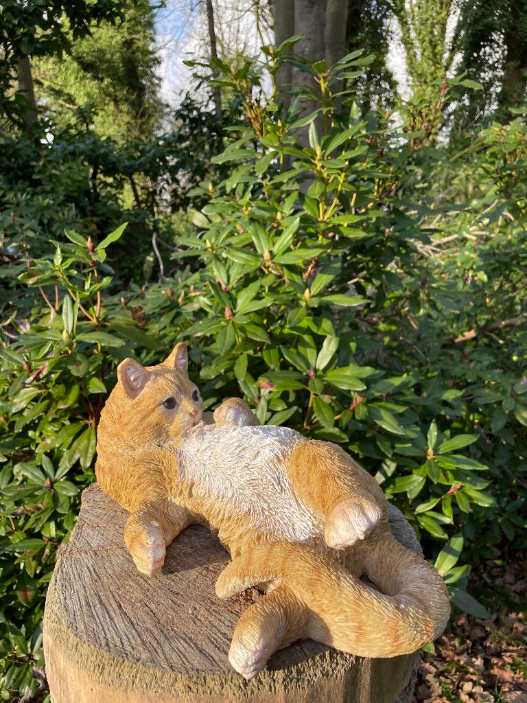 Poes, kat, liggend Bruin, tuin, gazon, boerderij 40cm, Tuin en Terras, Tuinbeelden, Ophalen of Verzenden, Nieuw, Kunststof, Dierenbeeld