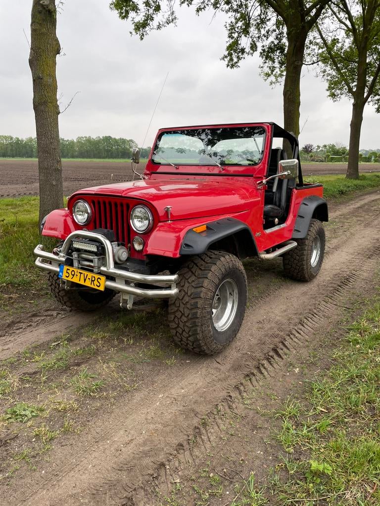 Jeep CJ7 1981 nieuwe apk wegenbelasting vrij, 750 kg, 1520 kg, Cabriolet, 4 stoelen