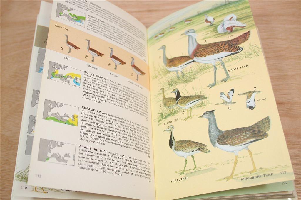 Elseviers Gids van de Europese Vogels [1977], Ophalen of Verzenden, Gelezen, Vogels