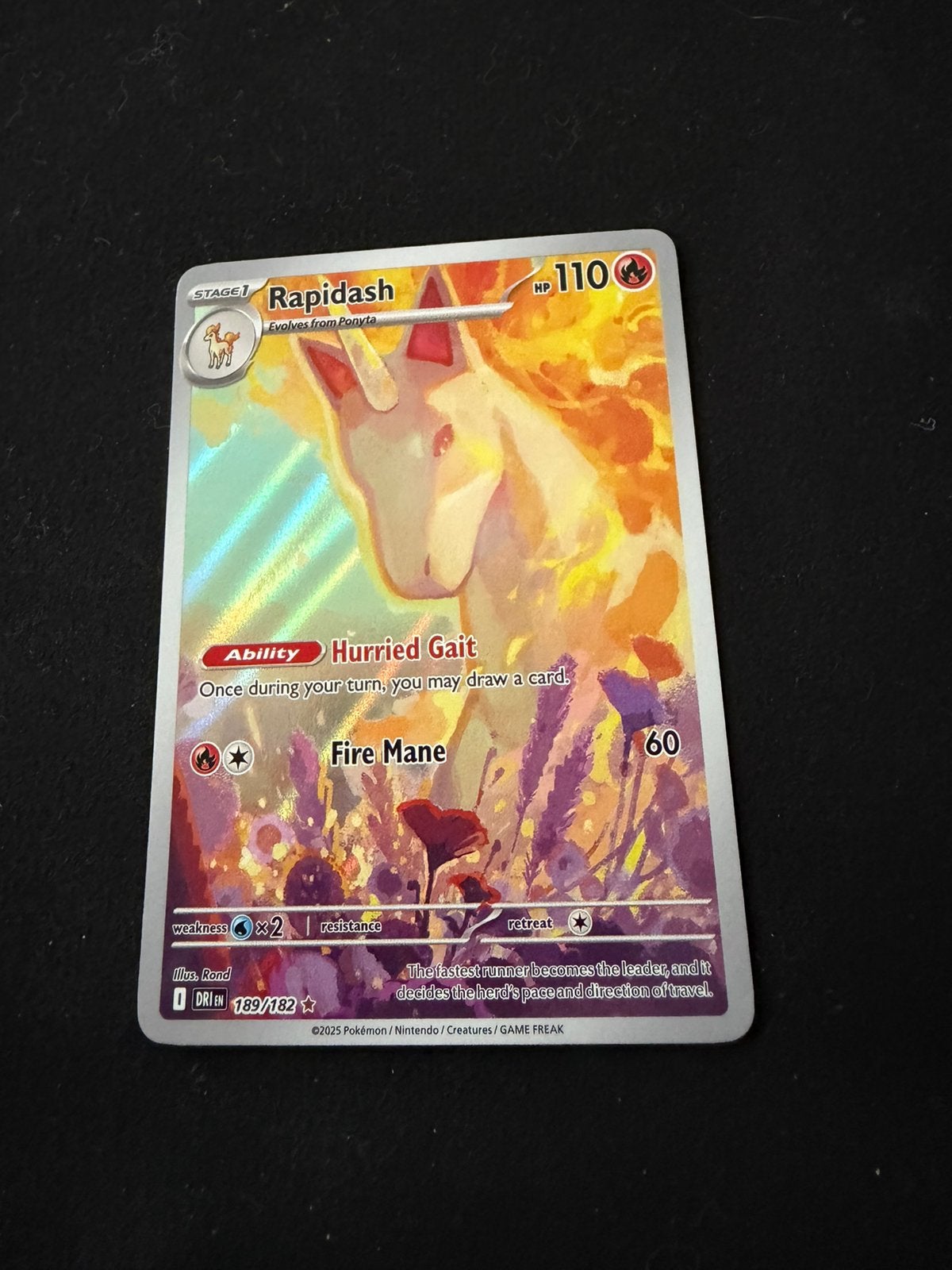 Rapidash, Ophalen of Verzenden, Nieuw