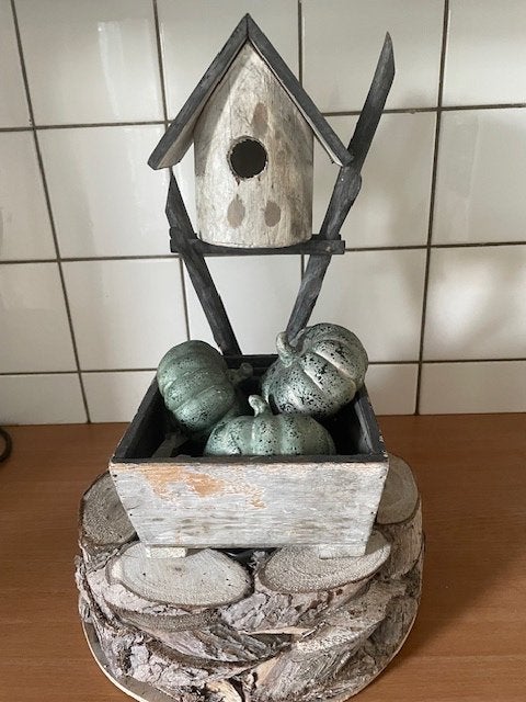 bijzonder vogelhuisje, Tuin en Terras, Ophalen, Zo goed als nieuw