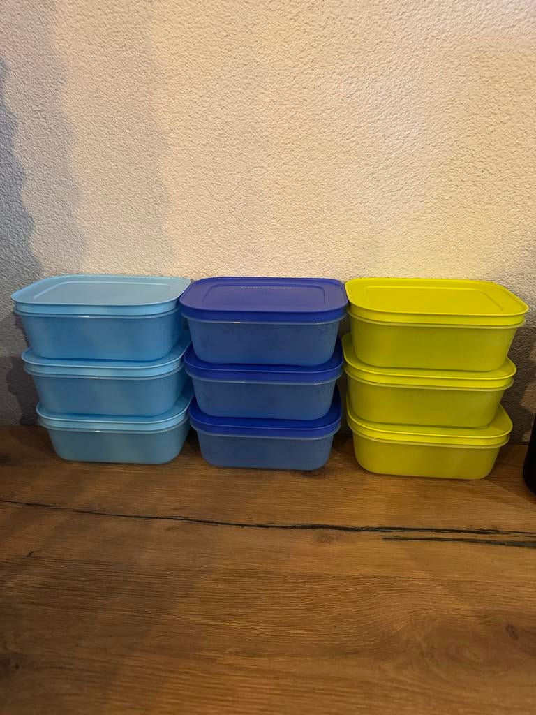 Tupperware diepvriesdoosjes 450 ml (3) - Nieuw, Ophalen of Verzenden, Nieuw, Blauw, Bak of Kom