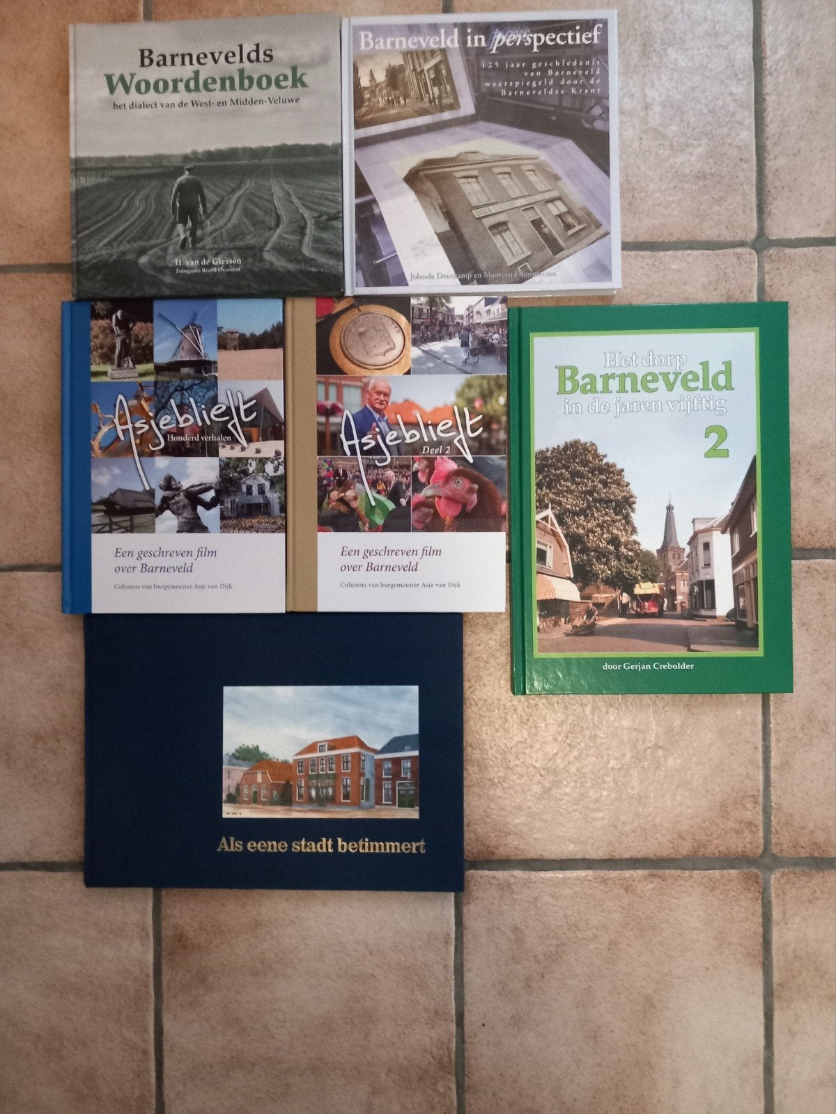 6 boeken van en over Barneveld, Ophalen of Verzenden, Zo goed als nieuw