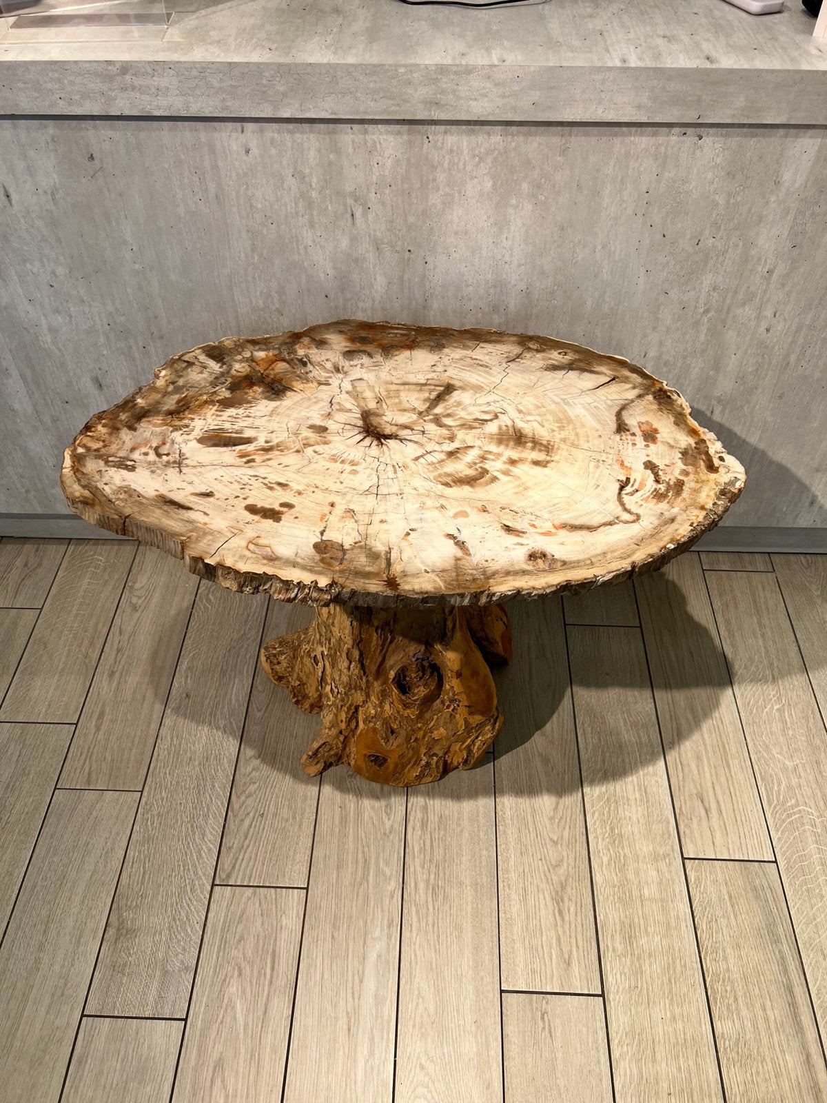 Prachtige salontafel van versteend hout Madagascar, Ophalen of Verzenden