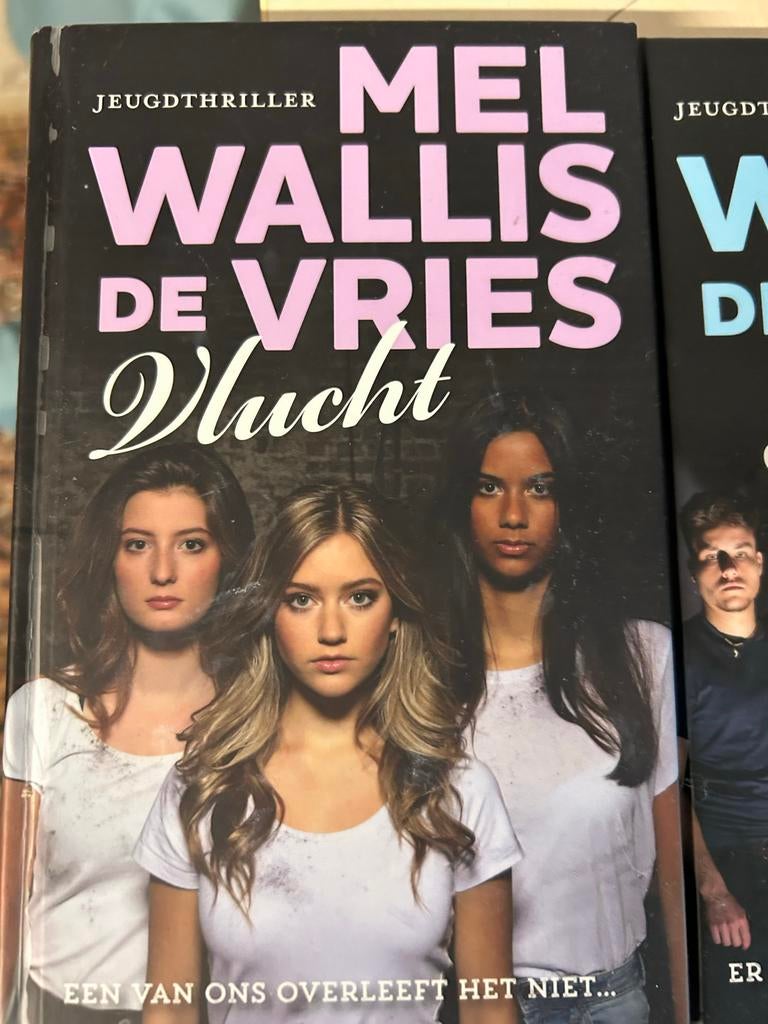 Wallis de Vries jeugdboeken, Boeken, Ophalen of Verzenden, Zo goed als nieuw