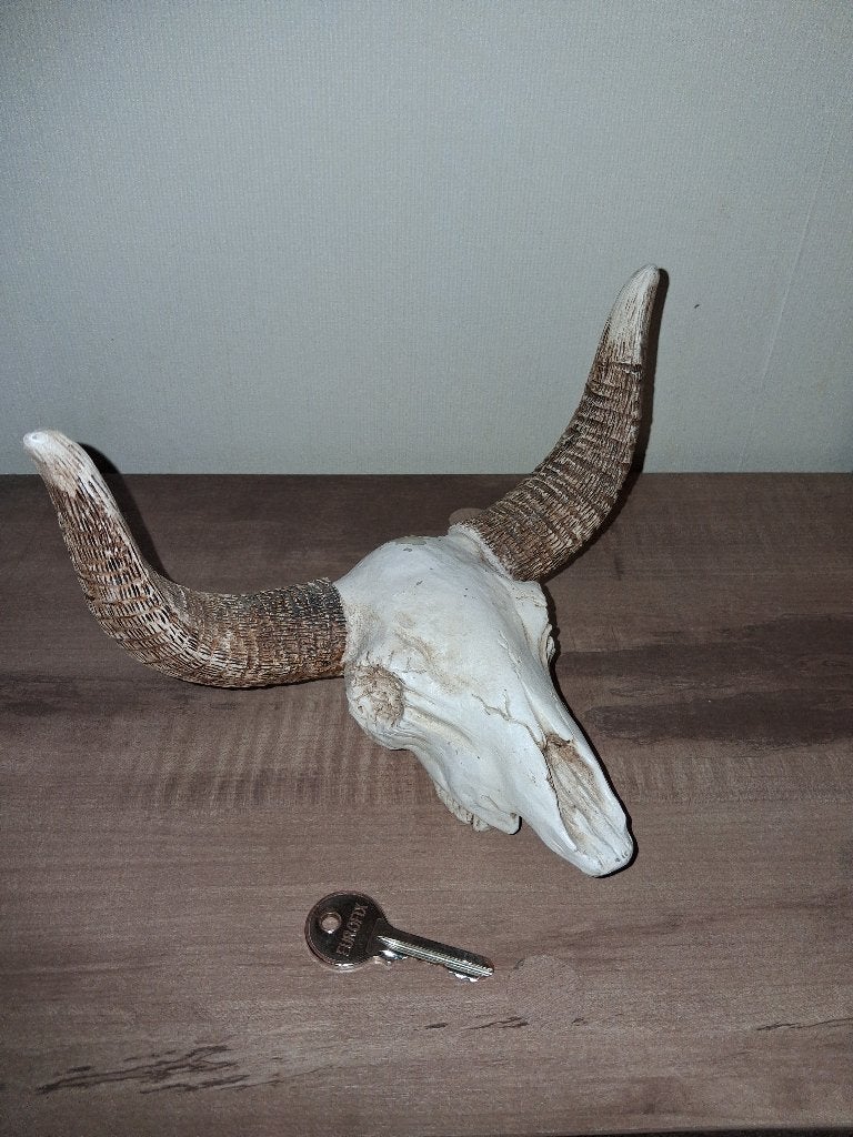 Decoratieve stierenschedel met hoorns – Western / Longhorn, Ophalen of Verzenden